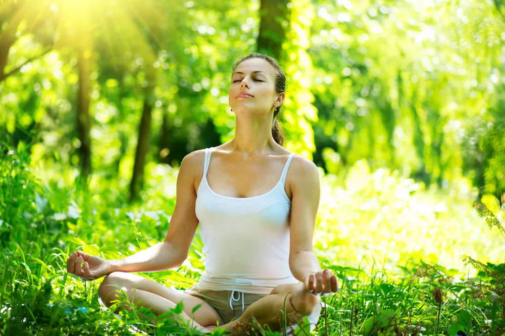 Morgenmeditationen