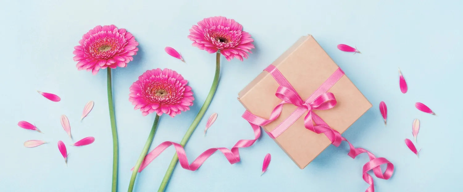 Pinke Gerbera-Blumen und Geschenkpaket, symbolisieren Freude, Wohlbefinden und Geschenke vom Sera Benia Verlag.