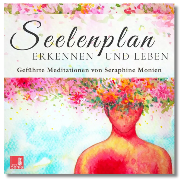 Seelenplan erkennen und leben